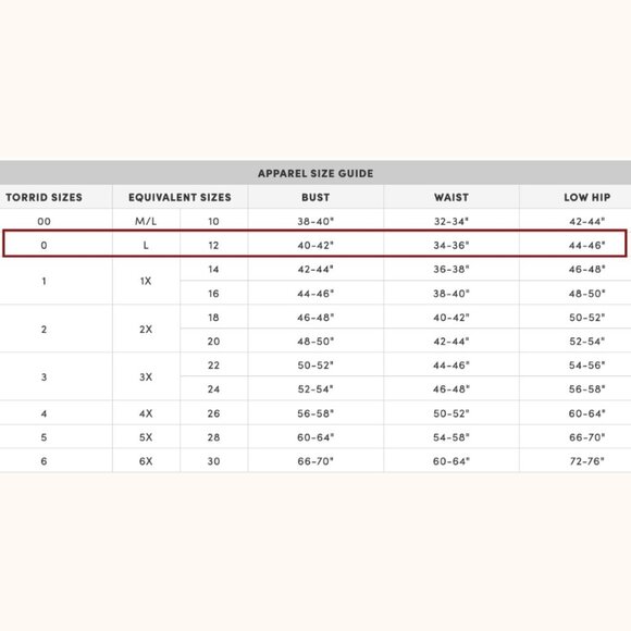 NWT Torrid Sheer Empire Waist Cover-Up Dress L - Picture 14 of 14